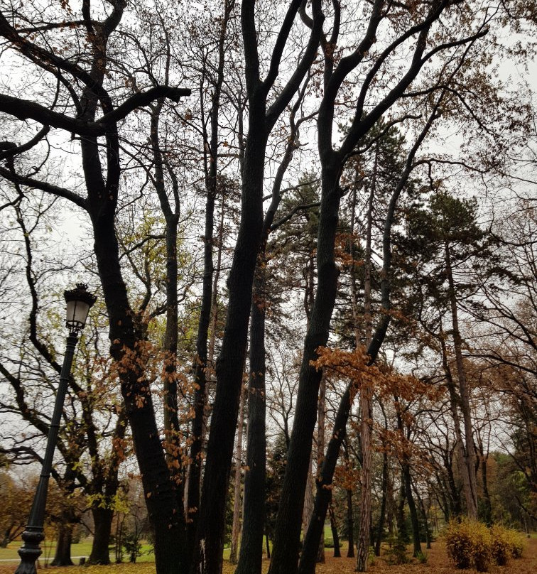 Zapaden Park-索非亚必去景点
