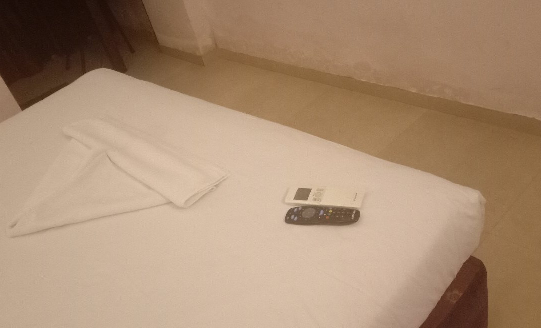 Park Royal Inn主图