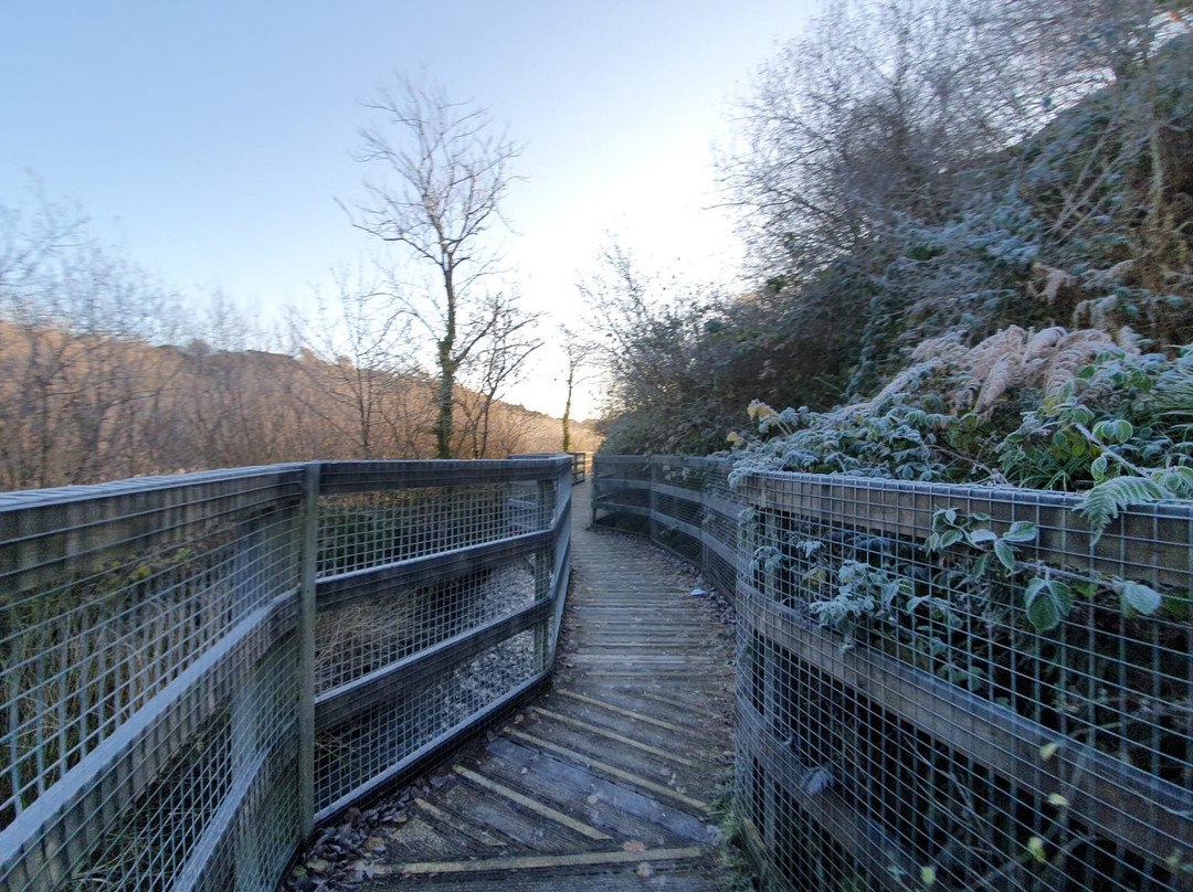 The Dingle (Nant y Pandy) Nature Reserve景点图片
