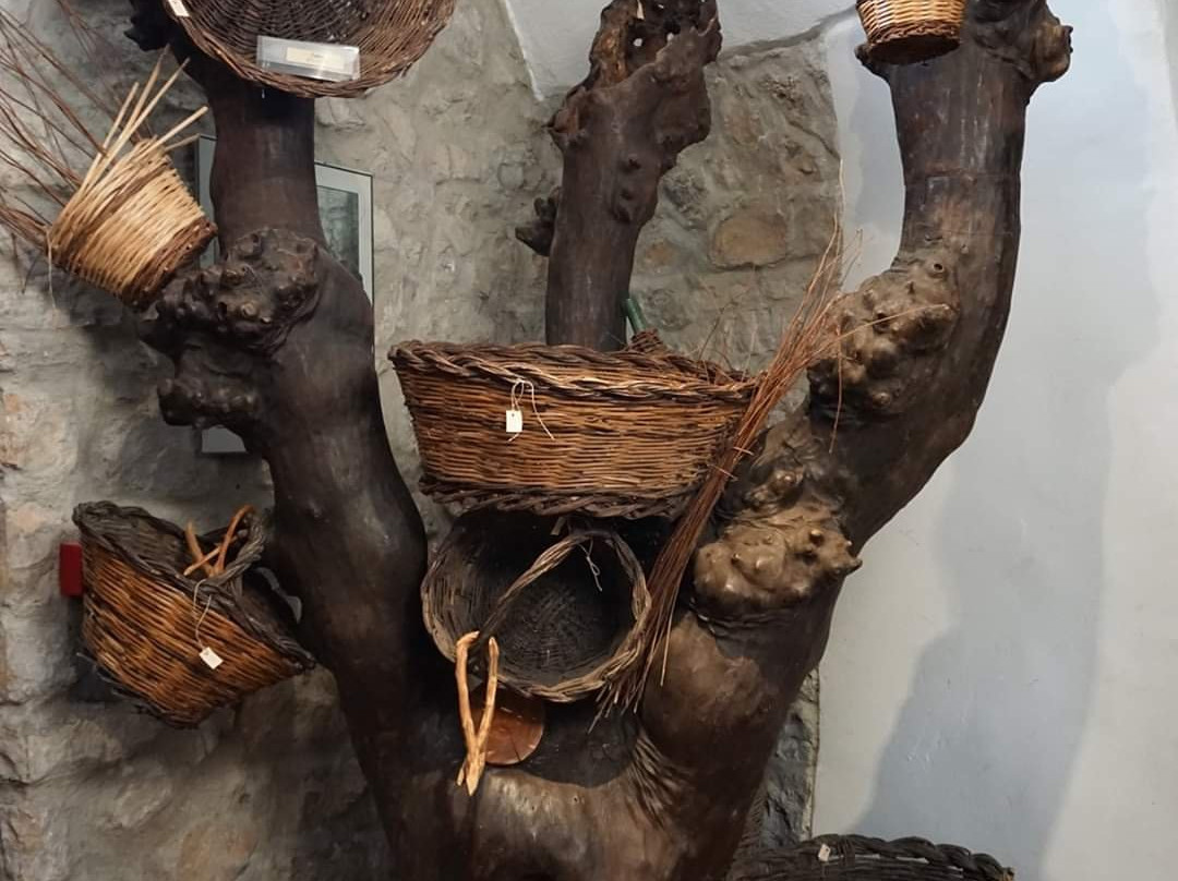 Museo Della Civilta Contadina E dell'Ulivo-Pastena必去景点