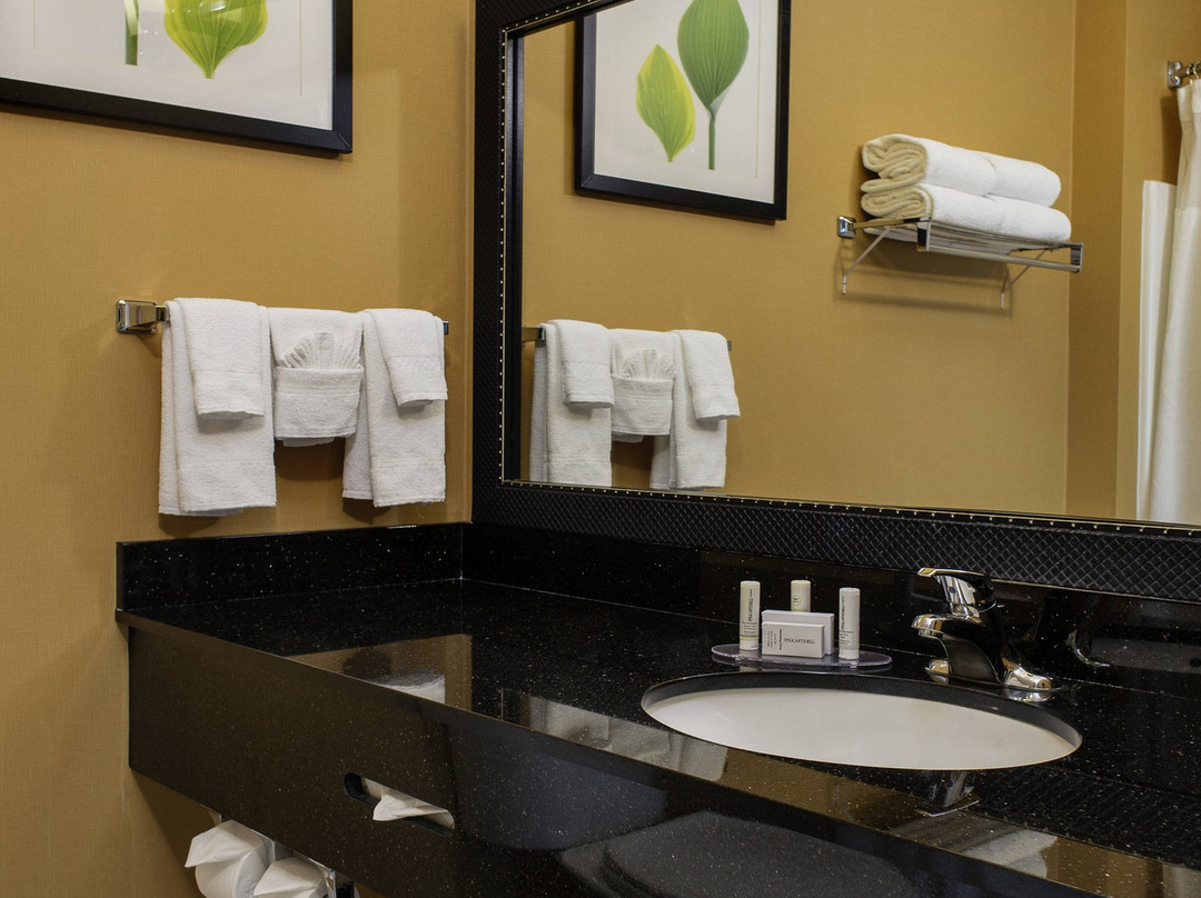 Fairfield Inn & Suites Santa Rosa Sebastopol主图