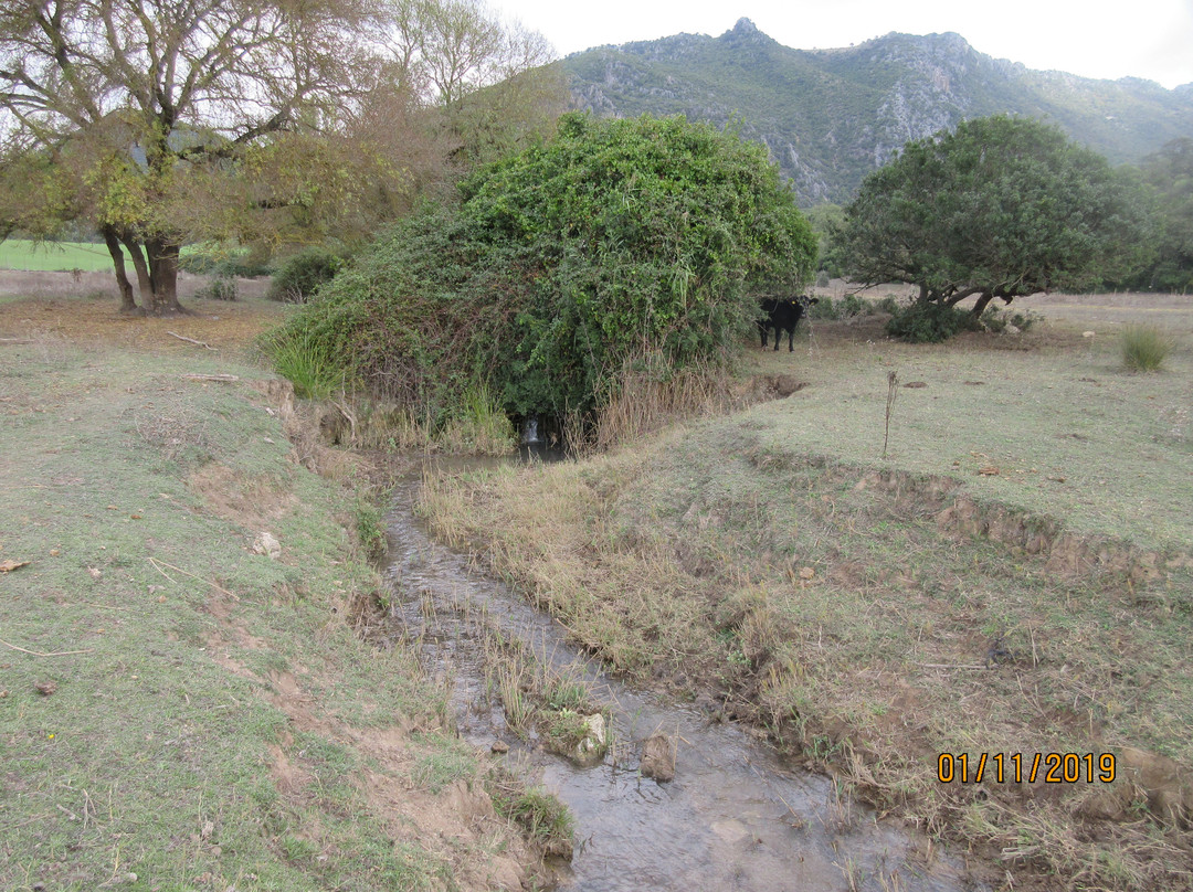Sendero Tavizna - Embalse de los Hurones景点图片