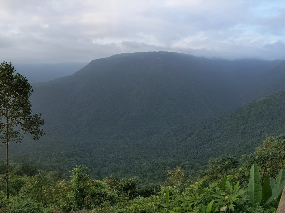 Cherrapunjee Holiday Resort主图