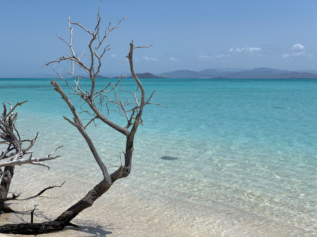 Bouts d' Brousse-Bouloupari必去景点