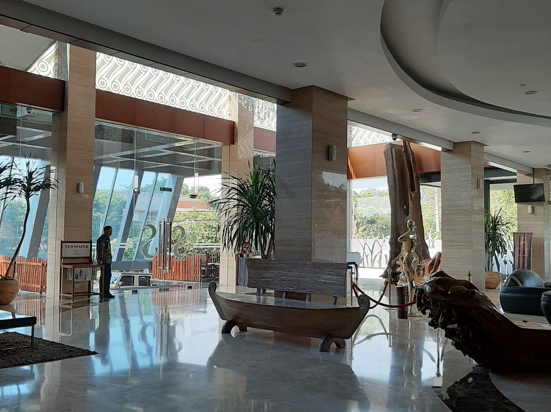 The Safin Hotel Pati主图