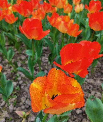 金山滨海公园-上海市必去景点