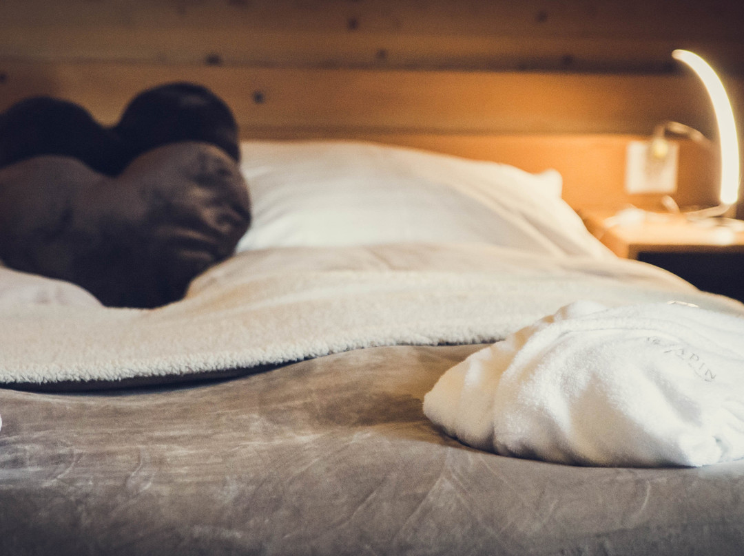 Résidence Hôtelière Le Sapin主图