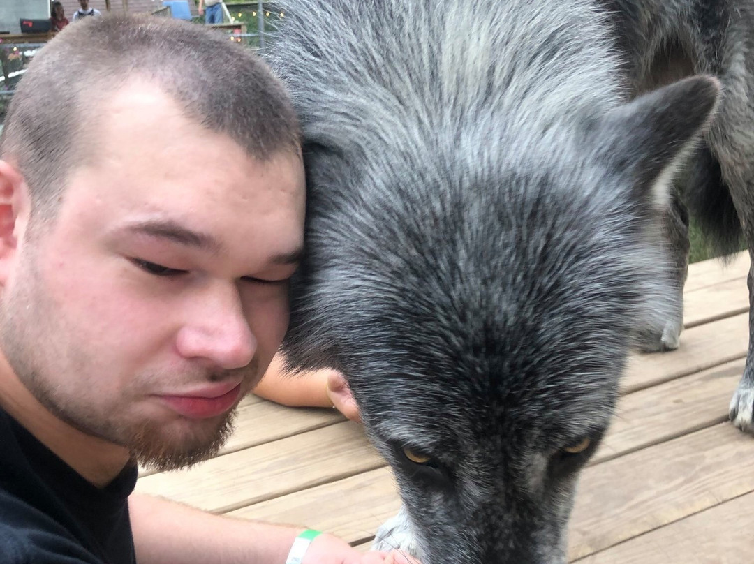 Wolf creek habitat and rescue景点图片