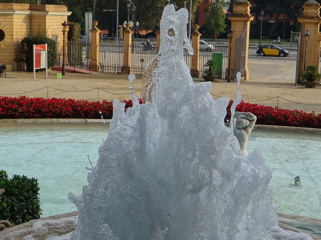 Palacio Real de Pedralbes景点图片