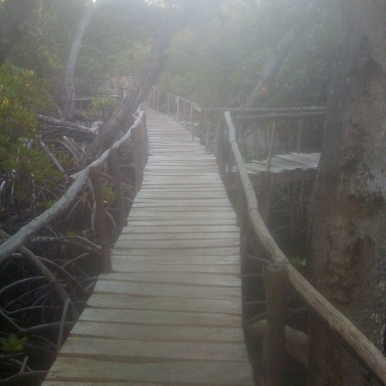 Safari Kenya Watamu-瓦塔木必去景点