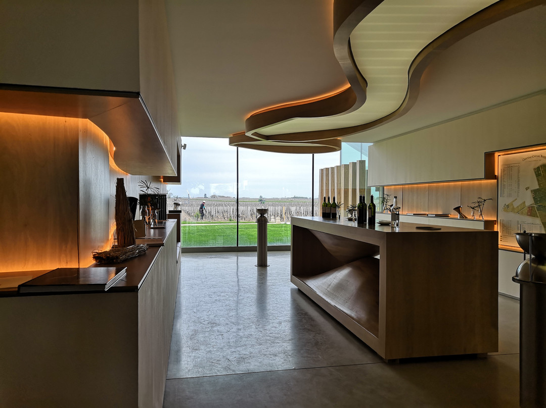 Bella Wine Tours景点图片
