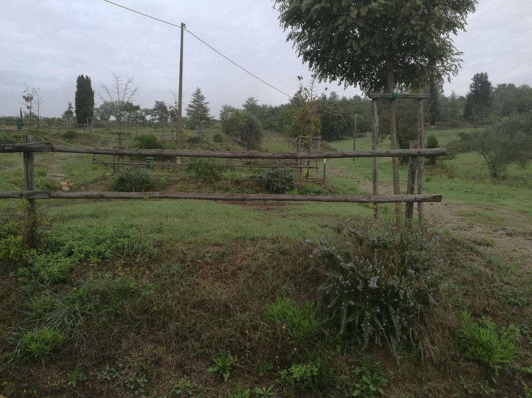 Agricampeggio Podere Santa Clorinda