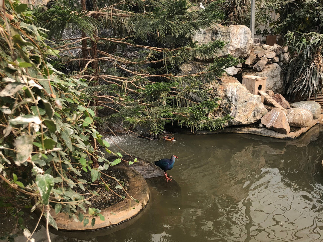 Tehran Bird Garden景点图片