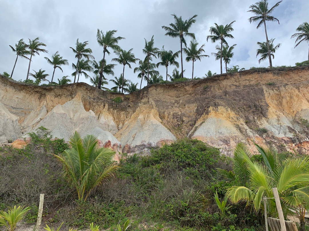 Tartarugas Beach-Santo Andre必去景点