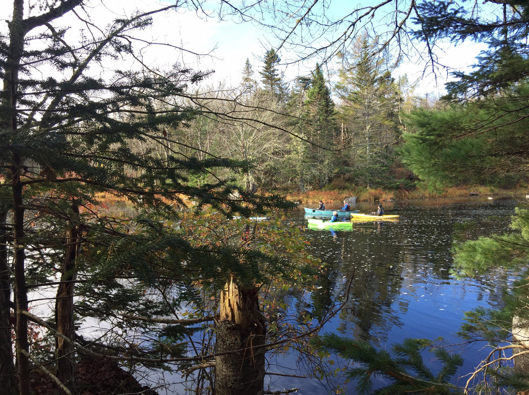 Trout Point Lodge of Nova Scotia主图