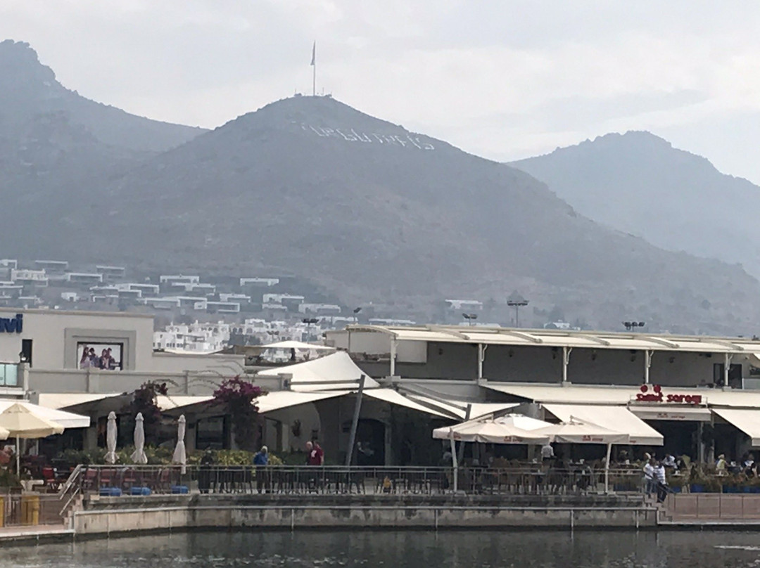 D-Marin Turgutreis景点图片
