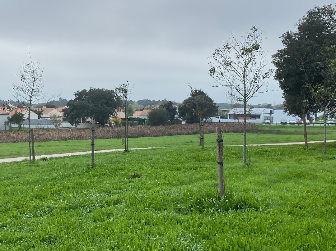 Parc des Genêts景点图片