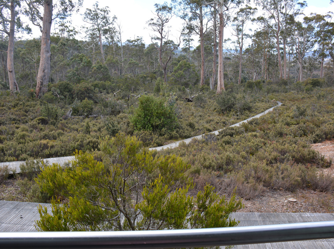 摇篮山城堡酒店主图