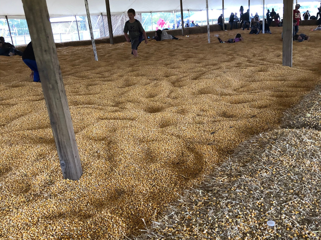Fun Farm景点图片