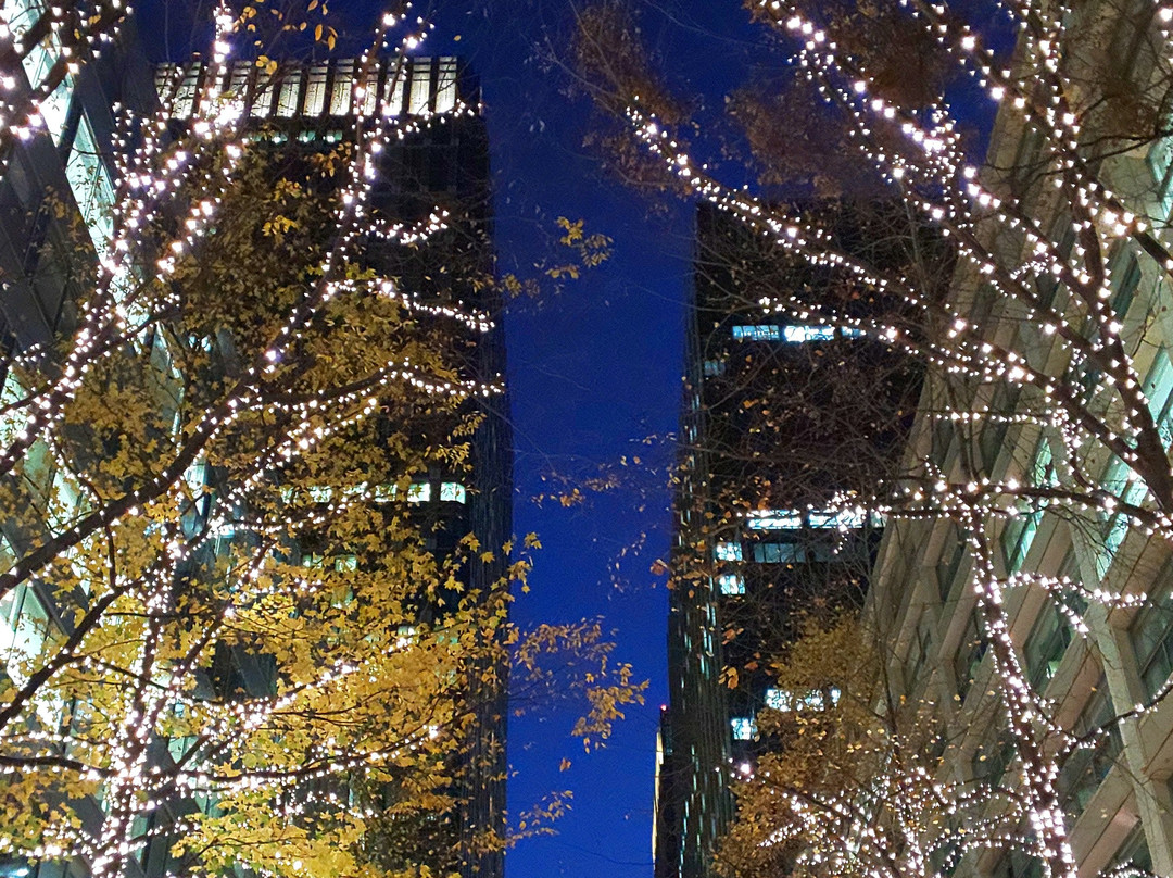 Marunouchi Naka Street-Marunouchi必去景点