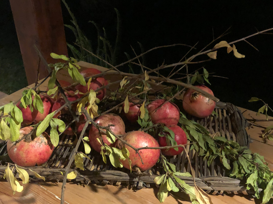 卡萨莱吉安切莎雷酒店主图