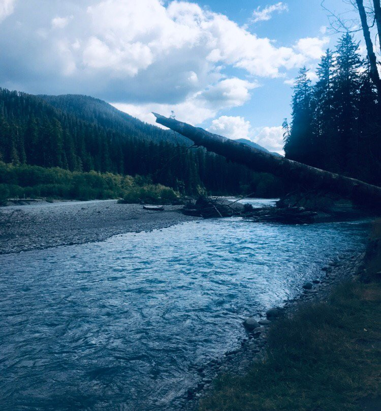 Hoh River Trail景点图片