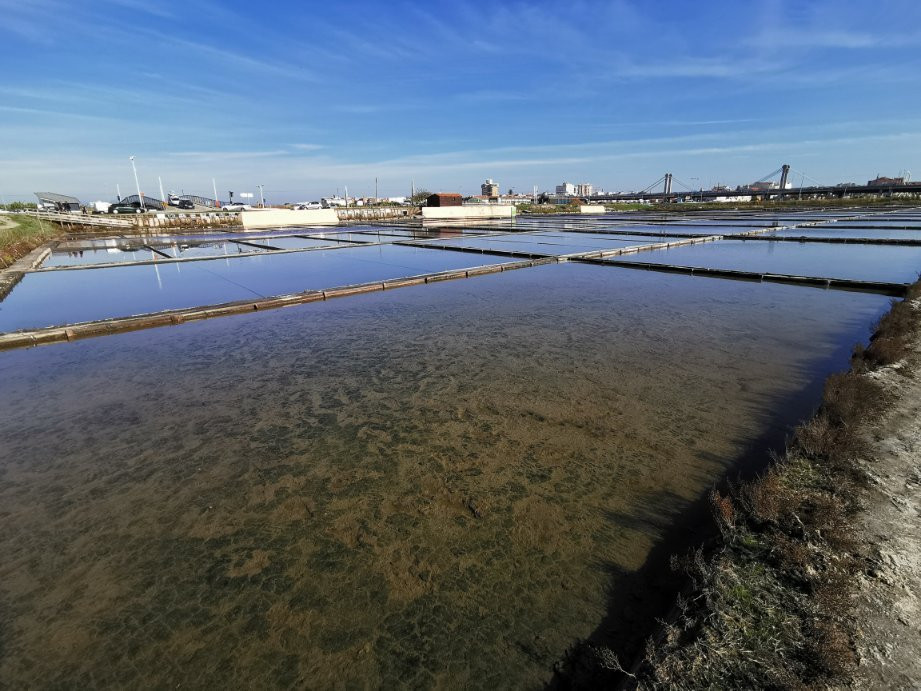 Ecomuseu Marinha da Troncalhada景点图片