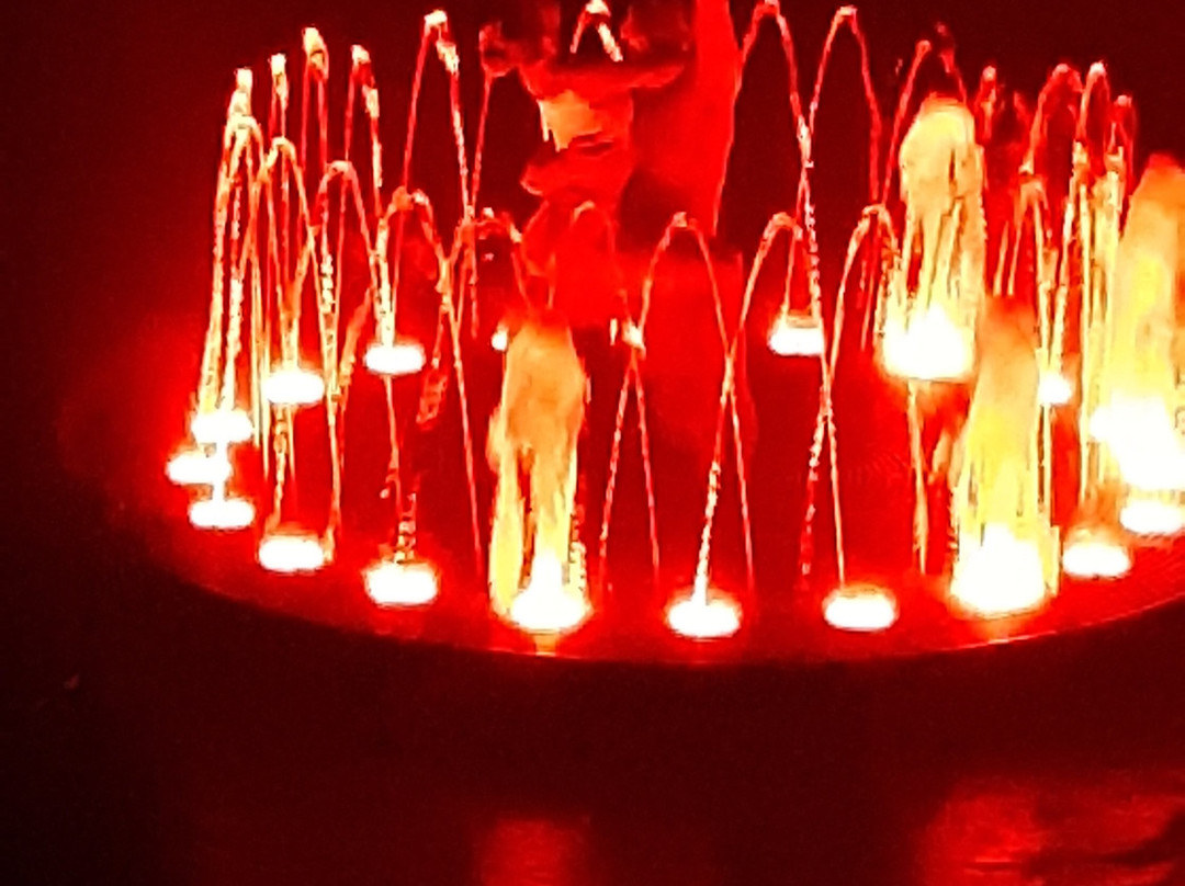 Sochi State Circus-索契必去景点