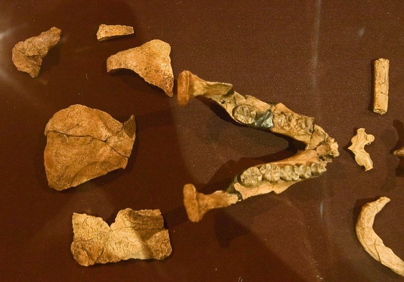 Addis Ababa Museum景点图片