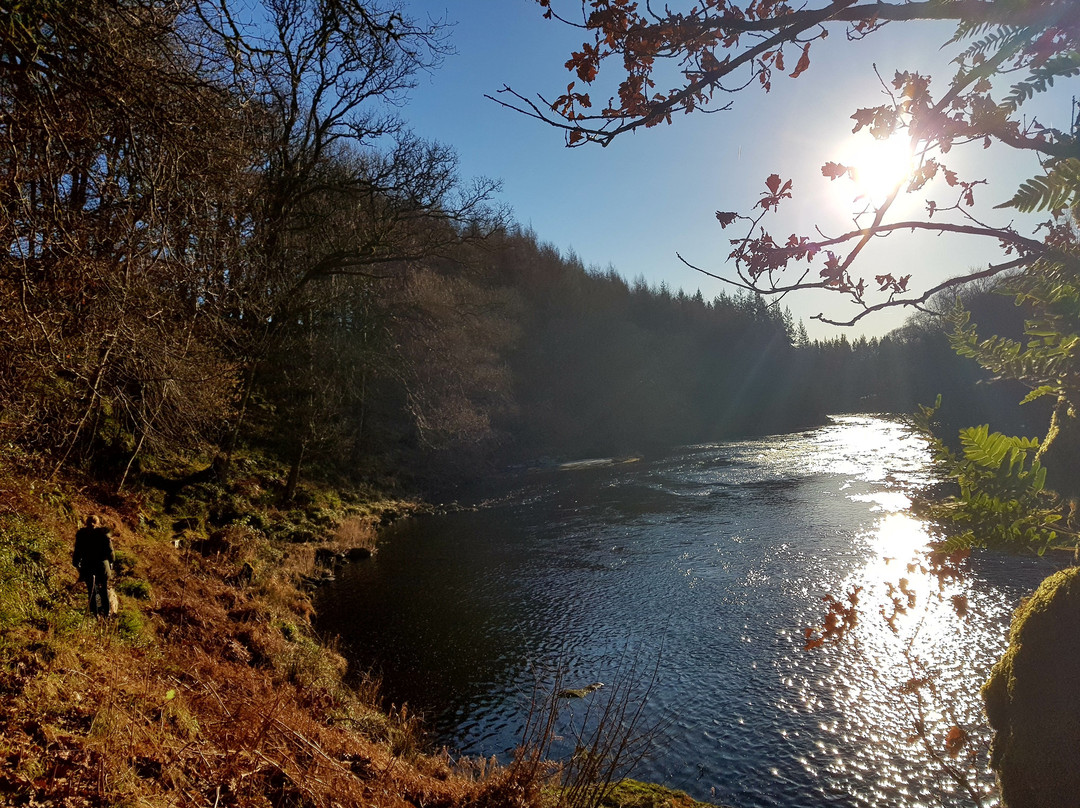 Westcot Bed & Breakfast主图