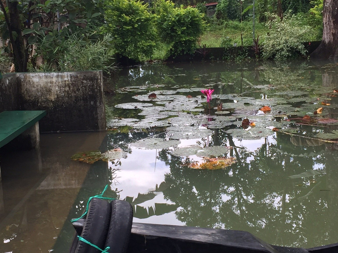 Kuttickattil Gardens Homestay主图