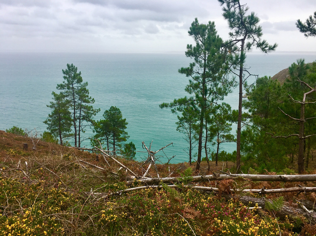 Pointe de Saint-Hernot景点图片