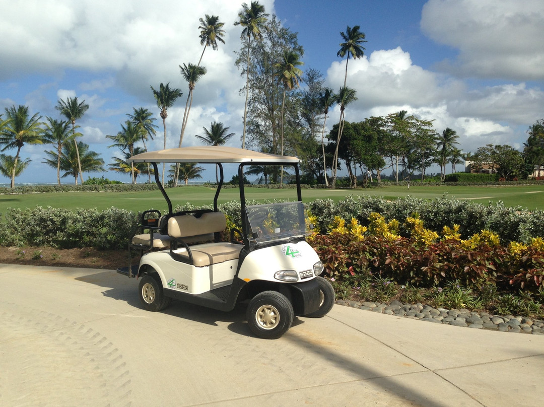 Carts4You-多拉多必去景点