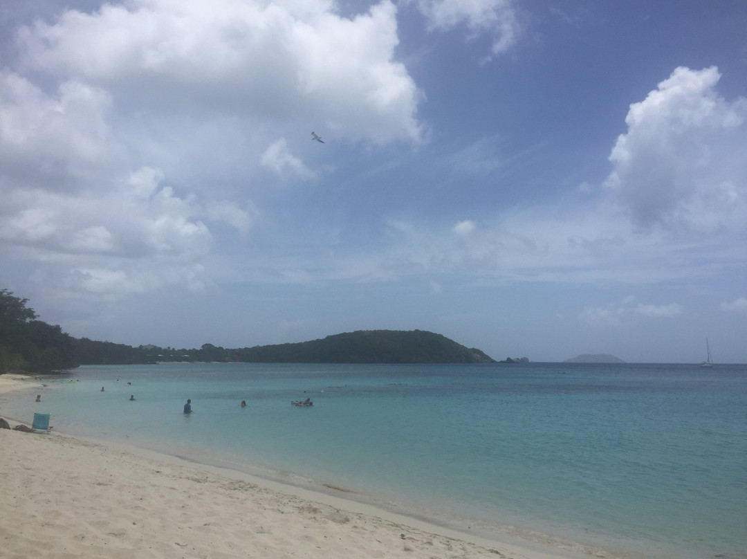 St. John Beach Bum-克鲁兹湾必去景点