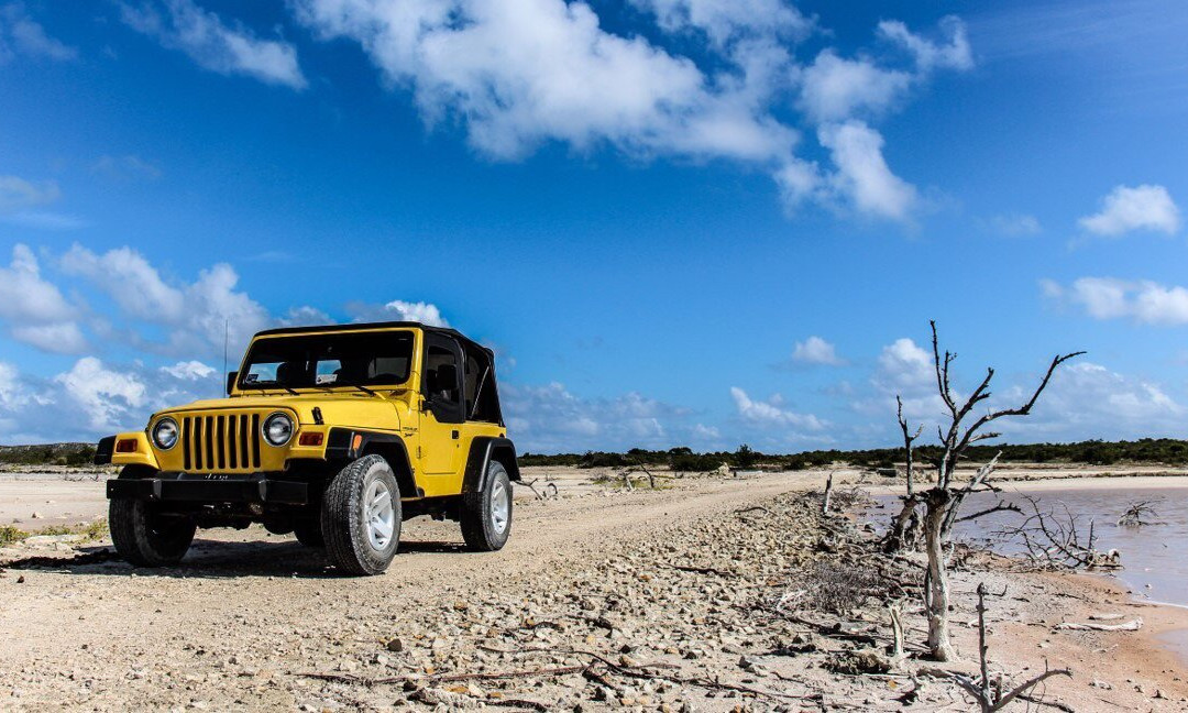 Harbour Adventures-South Caicos必去景点