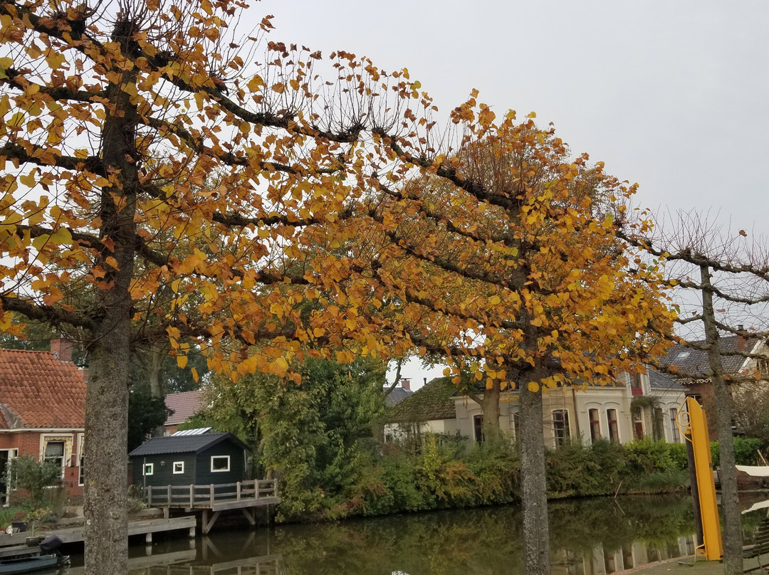 Molen Hunsingo主图