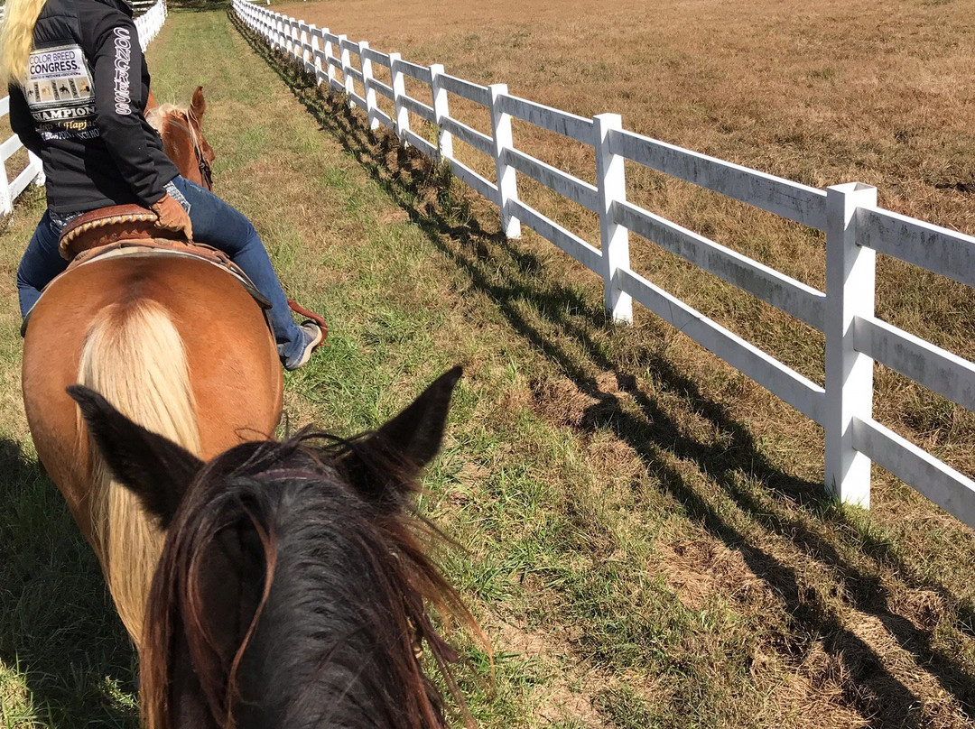 Clearview Horse Farm B&B主图