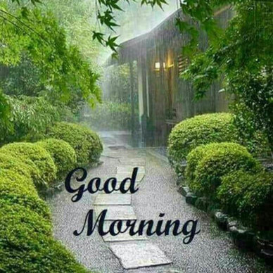 Cook with Surbhi-新德里必去景点