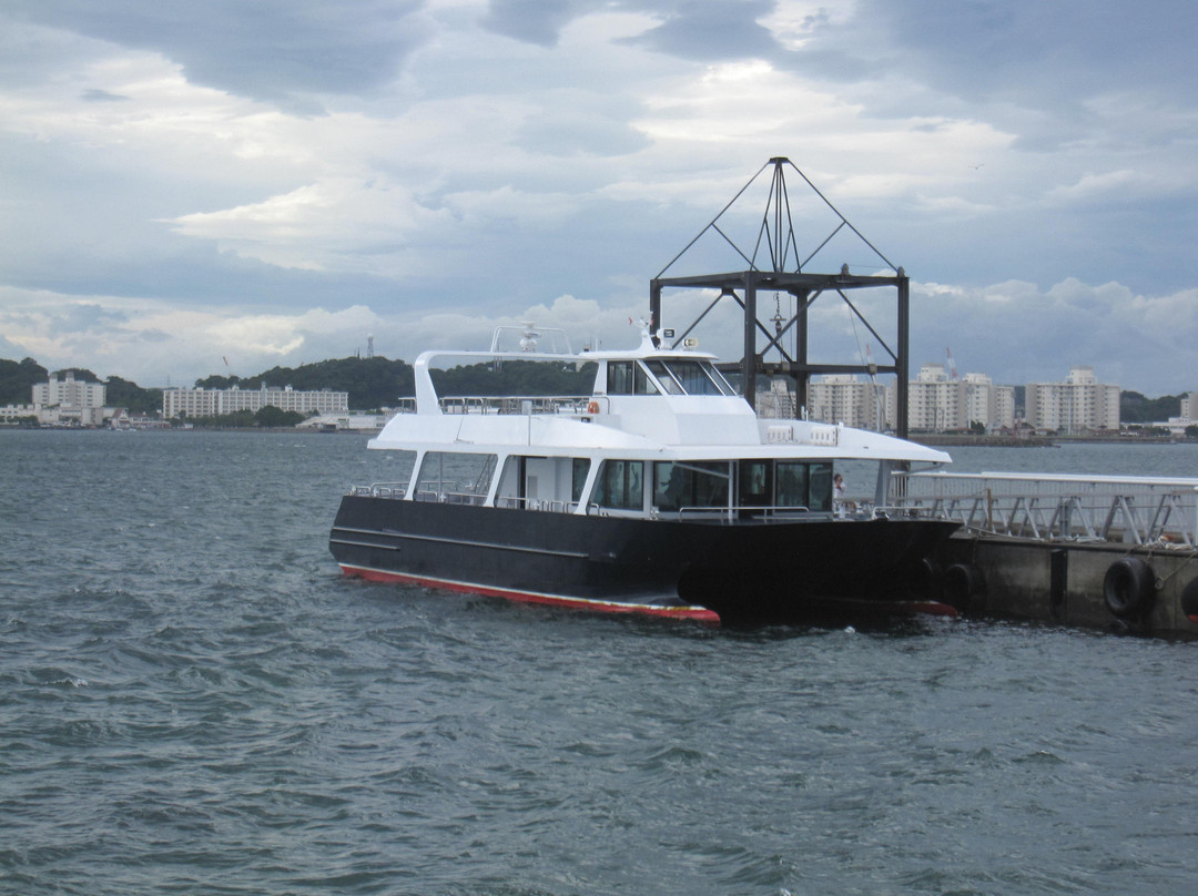 Ferries Crossing to Mikasa~Sarushima Island-横须贺市必去景点