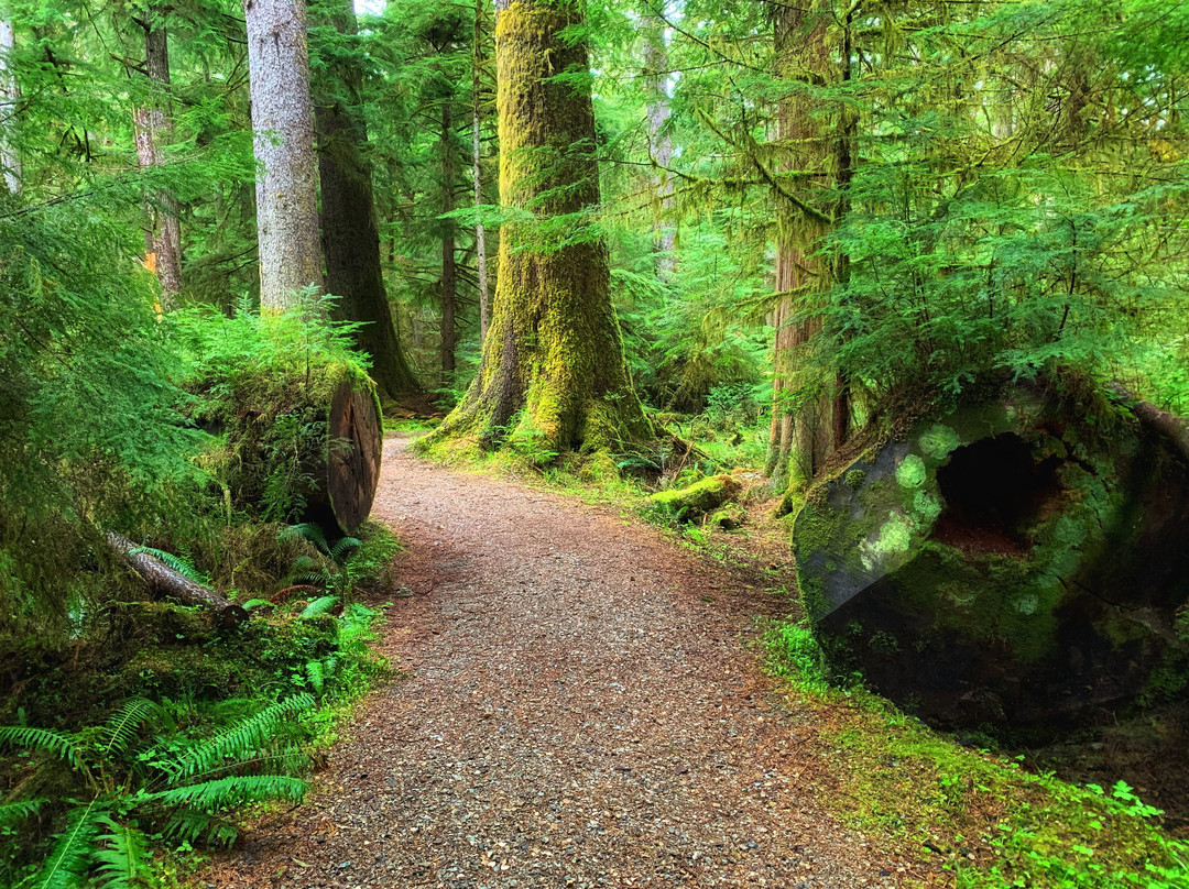 Yaaguun Gandlaay Heritage Site Conservancy