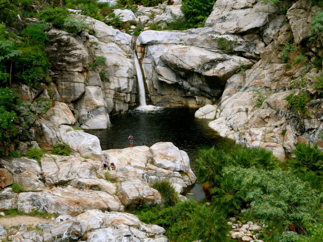 Quadgirl ATV/UTV Rentals-Los Barriles必去景点