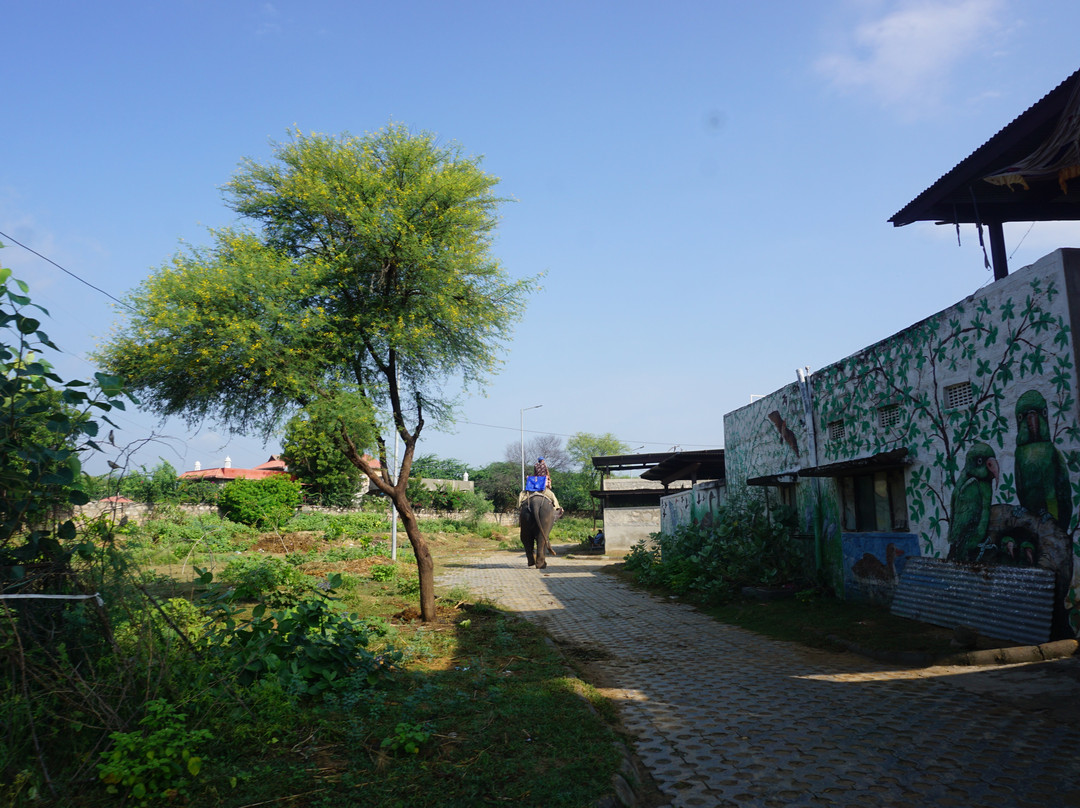 Hathi Gaon Elephant Village景点图片