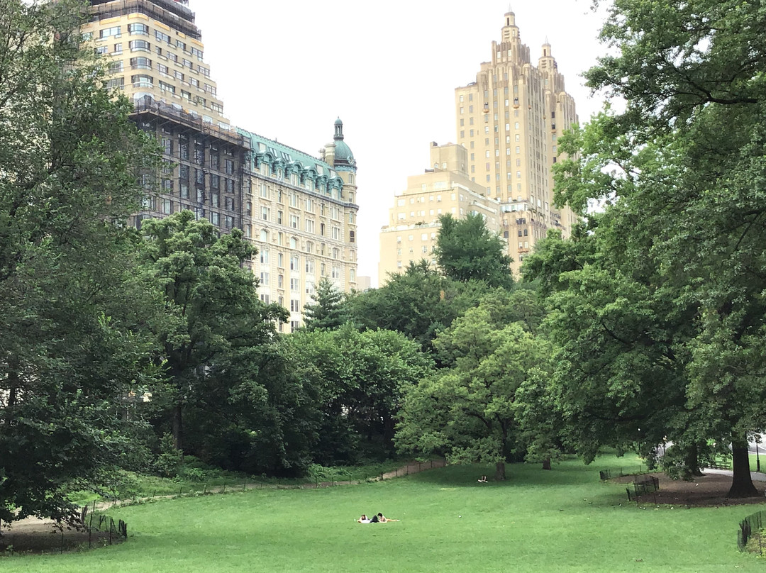 Central Park & Environs Walking Tours-纽约市必去景点