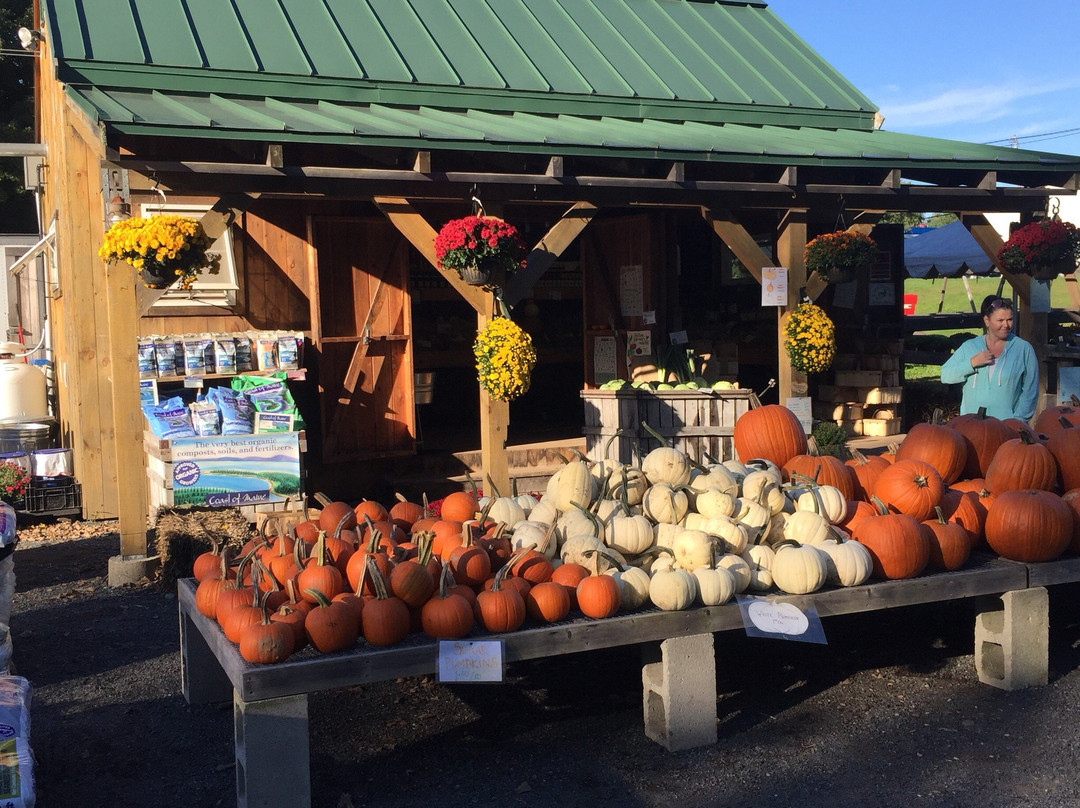 Langwater Farm-North Easton必去景点