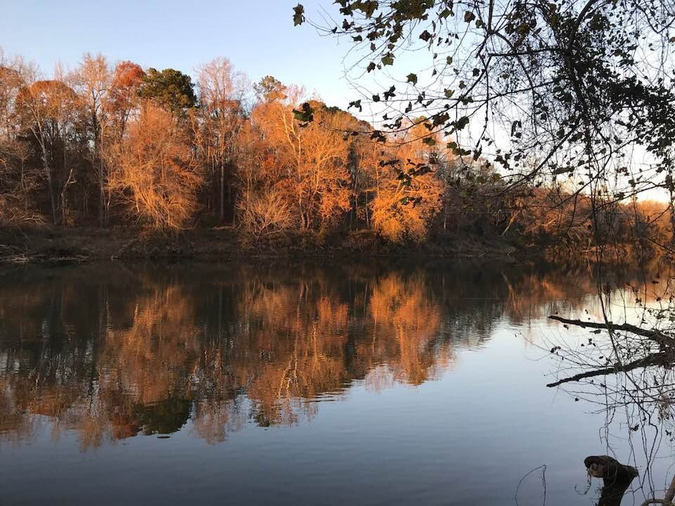 Chattahoochee Bend State Park
