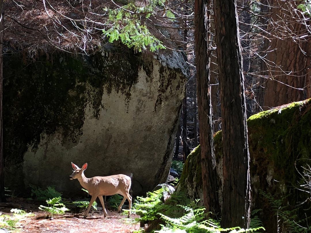 Hume旅游景点-Mist Falls