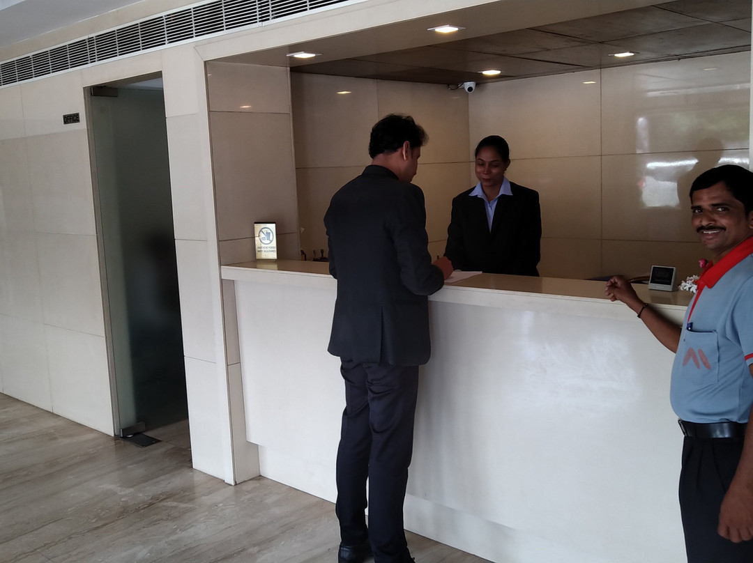 The Metropolitan主图