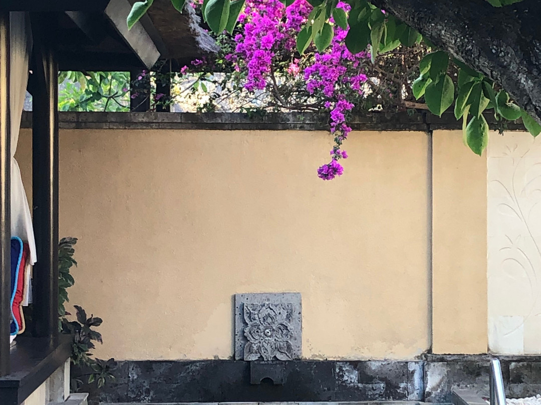 The Trans Villa Bali主图