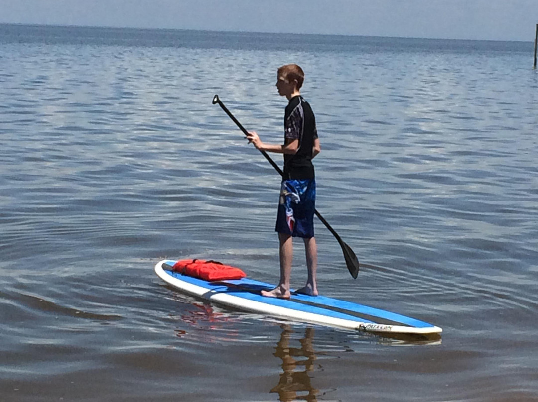 Salty Dog Paddlesports-费尔霍普必去景点