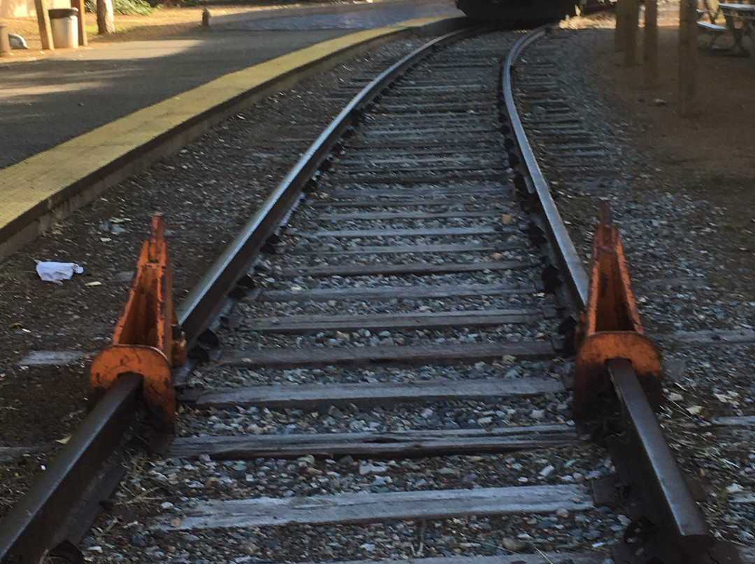 New Mexico Rail Runner Express景点图片